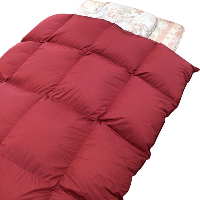 創業120周年記念】☆軽量タイプ エクセルゴールドダウン85％1.2kg入り