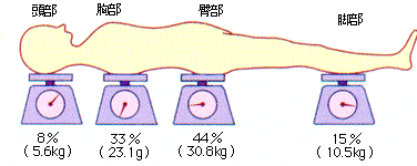 就寝時の体圧